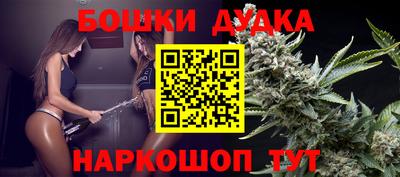 a pvp Ачхой-Мартан