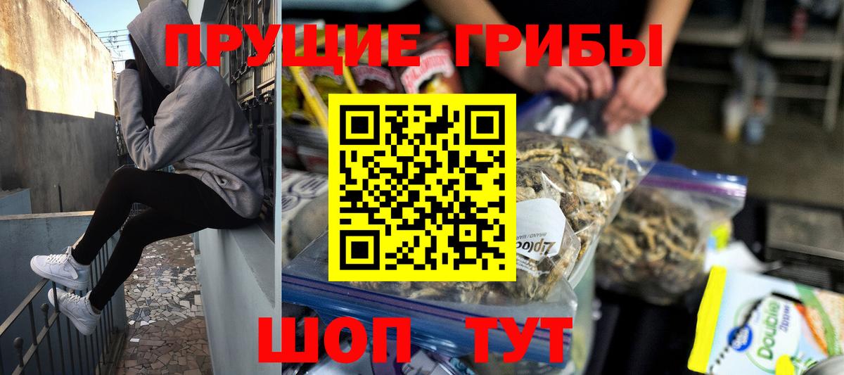 цена   Галлюциногенные грибы Cubensis  Вход с VPN  Узловая  Псилоцибиновые грибы мухоморы 